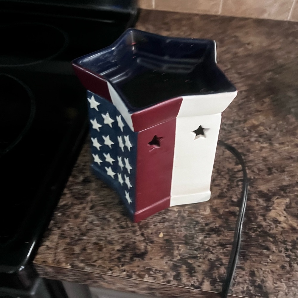Scentsy large Warmer